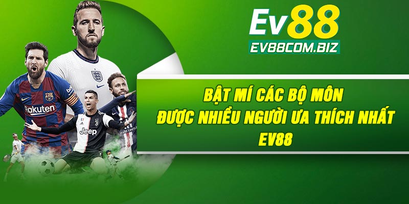 Bật mí các bộ môn được nhiều người ưa thích nhất Ev88