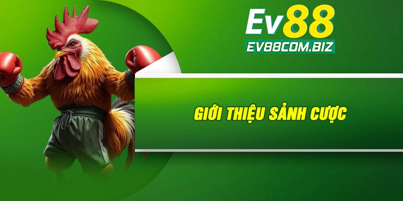 Giới thiệu sảnh cược