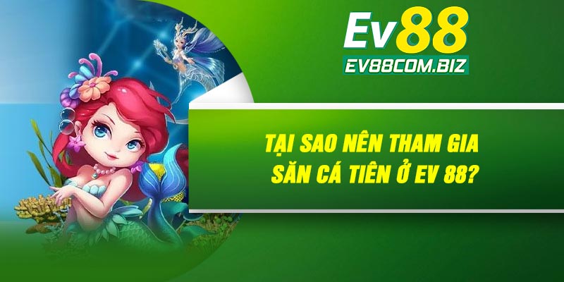 Tại sao nên tham gia săn cá tiên ở Ev 88?
