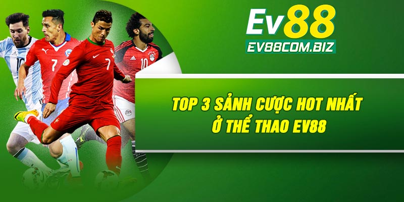 Top 3 sảnh cược HOT nhất ở thể thao Ev88